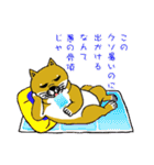柴犬紅龍号（個別スタンプ：26）
