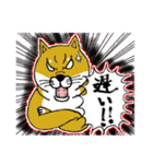 柴犬紅龍号（個別スタンプ：30）