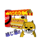 柴犬紅龍号（個別スタンプ：35）