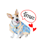Diamond is happy（個別スタンプ：6）