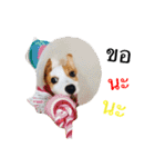 Diamond is happy（個別スタンプ：23）