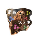 yokoyama brothers（個別スタンプ：8）