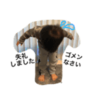 yokoyama brothers（個別スタンプ：9）