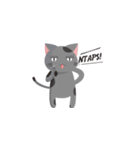 The Gray Cat : Cingcing with funny faces（個別スタンプ：6）