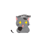 The Gray Cat : Cingcing with funny faces（個別スタンプ：8）