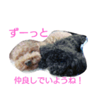銀と紅の日常（個別スタンプ：4）