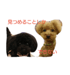 銀と紅の日常（個別スタンプ：9）