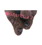 銀と紅の日常（個別スタンプ：16）