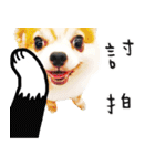 Oh King's Daily Life（個別スタンプ：1）