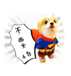 Oh King's Daily Life（個別スタンプ：2）