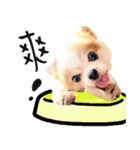 Oh King's Daily Life（個別スタンプ：3）