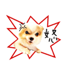 Oh King's Daily Life（個別スタンプ：4）