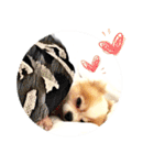 Oh King's Daily Life（個別スタンプ：5）