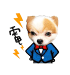 Oh King's Daily Life（個別スタンプ：6）