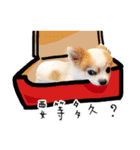 Oh King's Daily Life（個別スタンプ：8）