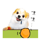 Oh King's Daily Life（個別スタンプ：10）