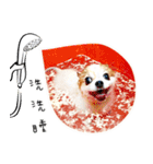Oh King's Daily Life（個別スタンプ：11）
