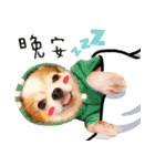 Oh King's Daily Life（個別スタンプ：12）