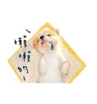 Oh King's Daily Life（個別スタンプ：14）