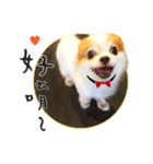 Oh King's Daily Life（個別スタンプ：15）