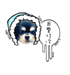 Oh King's Daily Life（個別スタンプ：16）