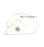 shiroppi2（個別スタンプ：2）