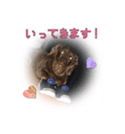 ポップとミント（個別スタンプ：1）