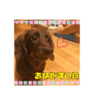 ポップとミント（個別スタンプ：4）