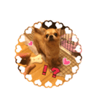 ポップとミント（個別スタンプ：5）