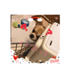 ポップとミント（個別スタンプ：6）