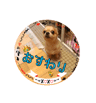 ポップとミント（個別スタンプ：8）