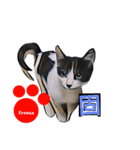 pop-pet.（漢字一文字表現）（個別スタンプ：5）