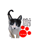 pop-pet.（漢字一文字表現）（個別スタンプ：6）