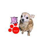 pop-pet.（漢字一文字表現）（個別スタンプ：10）