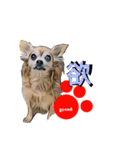 pop-pet.（漢字一文字表現）（個別スタンプ：11）