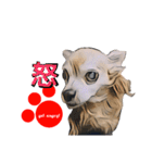 pop-pet.（漢字一文字表現）（個別スタンプ：12）