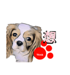 pop-pet.（漢字一文字表現）（個別スタンプ：21）