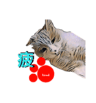 pop-pet.（漢字一文字表現）（個別スタンプ：23）