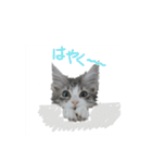 ブルー の日常  3ヶ月～5ヶ月（個別スタンプ：12）