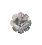 ブルー の日常  3ヶ月～5ヶ月（個別スタンプ：23）