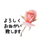 バラの花と敬語メッセージ2（個別スタンプ：17）