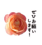 バラの花と敬語メッセージ2（個別スタンプ：19）