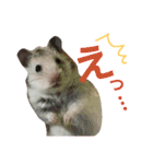 動物とやる気のないラクガキ（個別スタンプ：2）