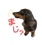 動物とやる気のないラクガキ（個別スタンプ：6）