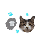 猫とお話し モフ2話（個別スタンプ：28）