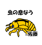 セミの抜け殻 佐藤ですが？（個別スタンプ：35）