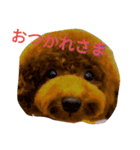 シャルル（個別スタンプ：1）