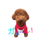 シャルル（個別スタンプ：3）