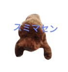 シャルル（個別スタンプ：5）