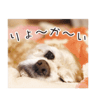 アメコカTiaraのスタンプ（個別スタンプ：5）